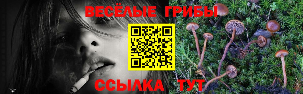 Галлюциногенные грибы мицелий Батайск