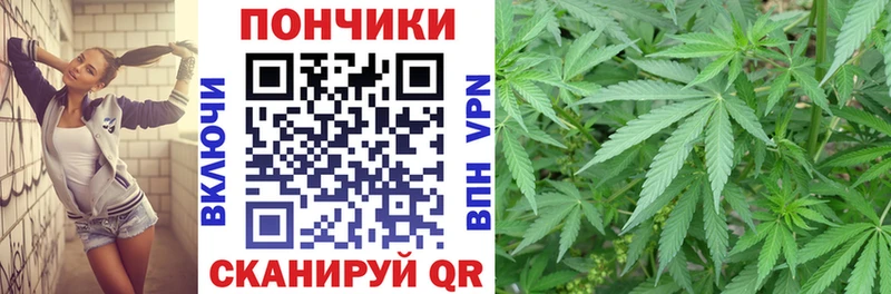 OMG маркетплейс  Батайск  Конопля индика  что такое  